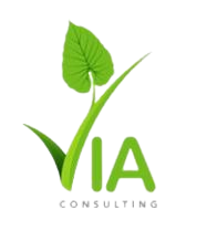 VIA CONSULTING logo
